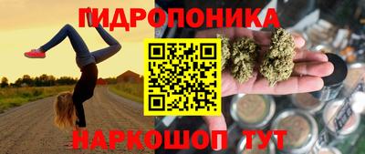 ПСИЛОЦИБИНОВЫЕ ГРИБЫ Среднеуральск